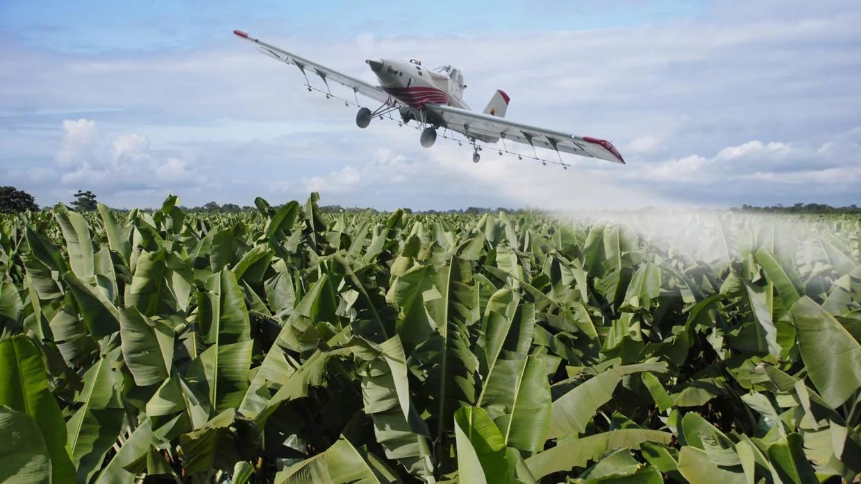 Una avioneta rocía de herbicida un cultivo