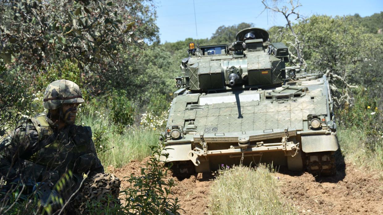 El vehículo de combate de infantería Pizarro