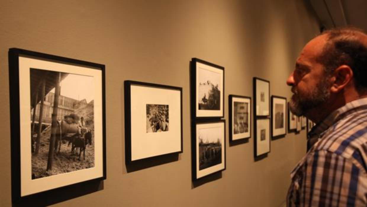 Fotografías sobre la agricultura en la Unión Soviética