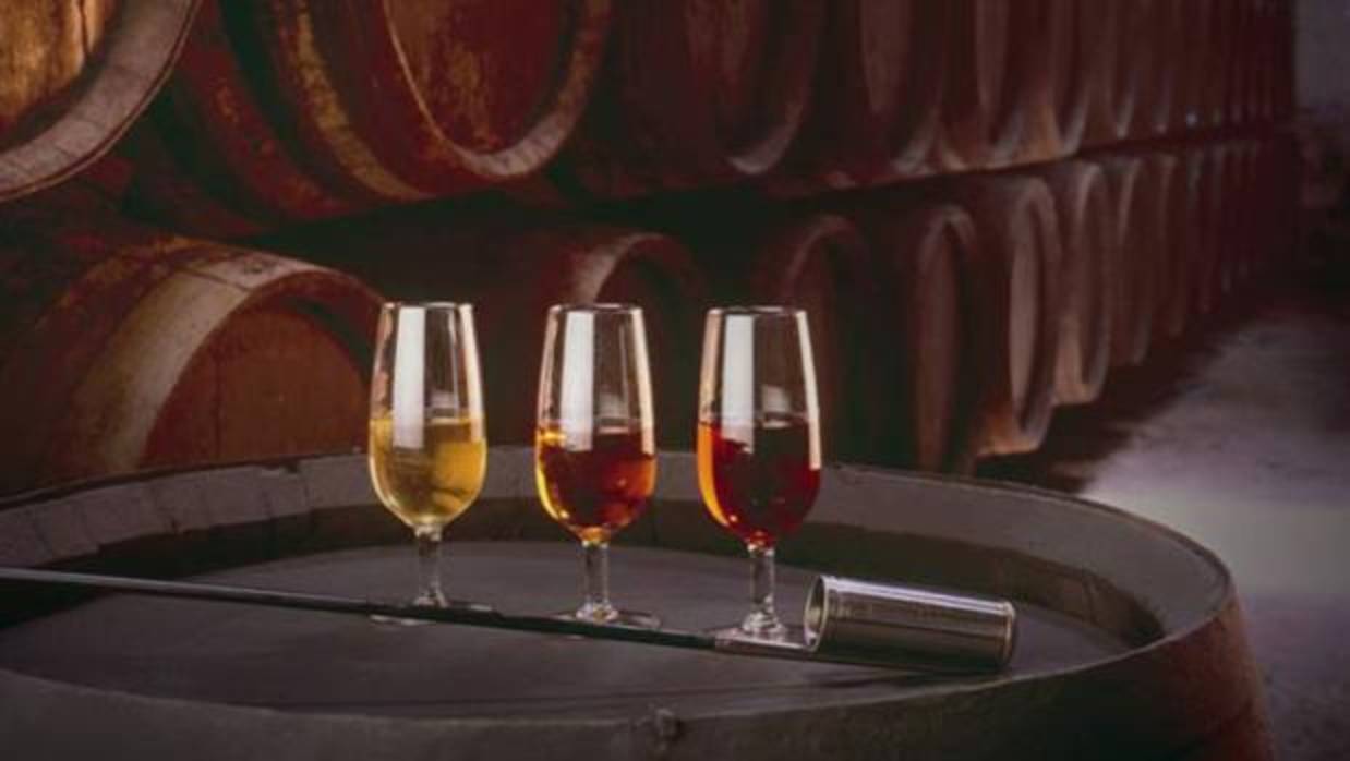 Varios vinos de una bodega