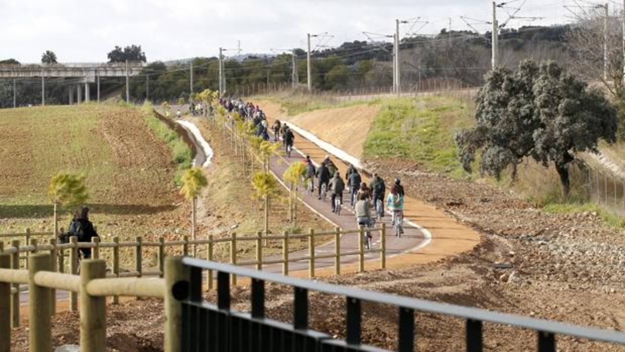 Ciclistas por el carril bici que va al campus de Rabanales