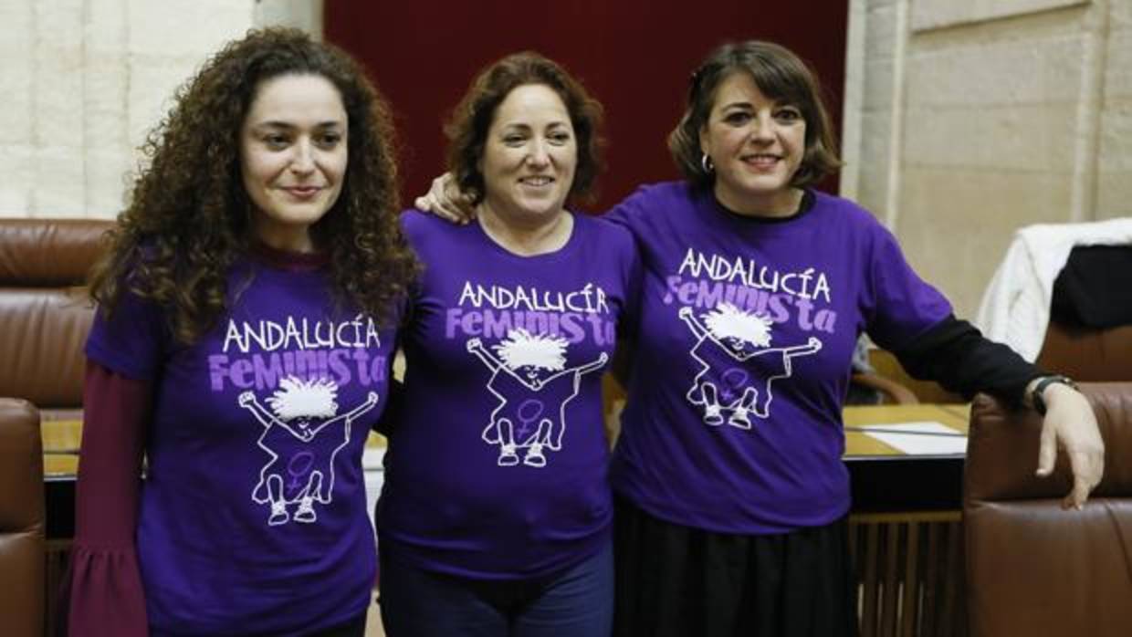 Las diputadas de Izquierda Unida, Inmaculada Nieto (i), María Carmen Pérez( c) y Elena Cortés muestran sus camisetas reivindicativas en el Parlamento