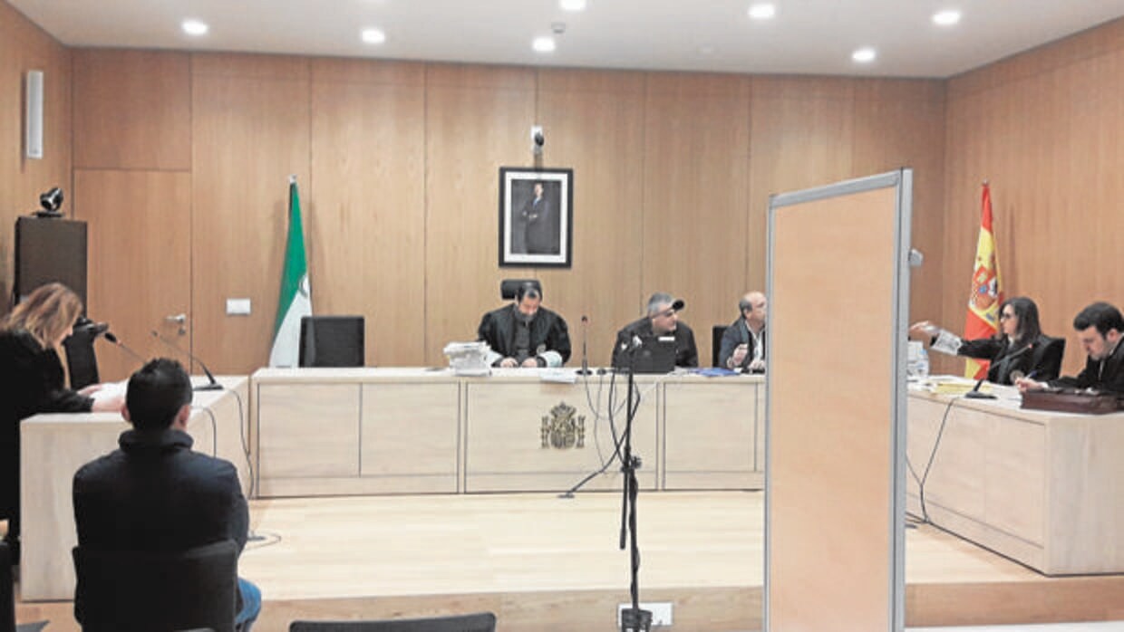 Primer juicio oral por presunta violencia machista celebrado en Penal 6 de la Ciudad de la Justicia