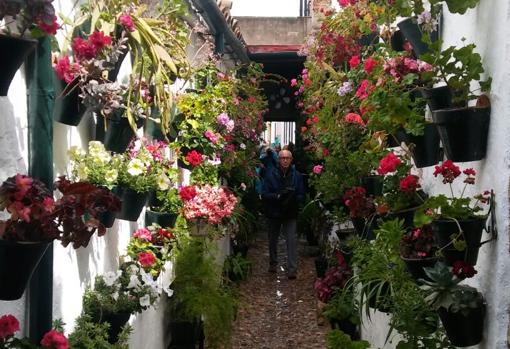 Uno de los primeros visitantes a la casa del Pozanco, santo y seña de la fiesta