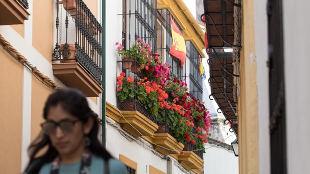 Patios de Córdoba de 2018: «La bandera de España se queda al lado de los geranios de la reja de mi casa»