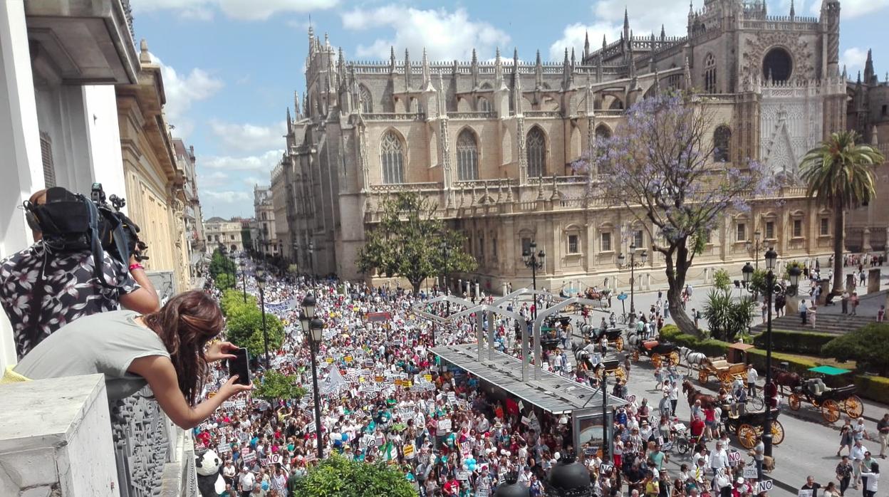 Miles de personas se manfiestan por la avenida de la Constitución, este domingo