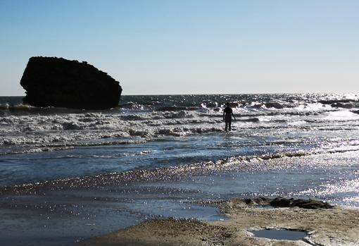 Estado de la playa de Matalascañas
