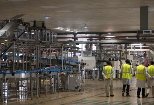 Visita al interior de la cervecera