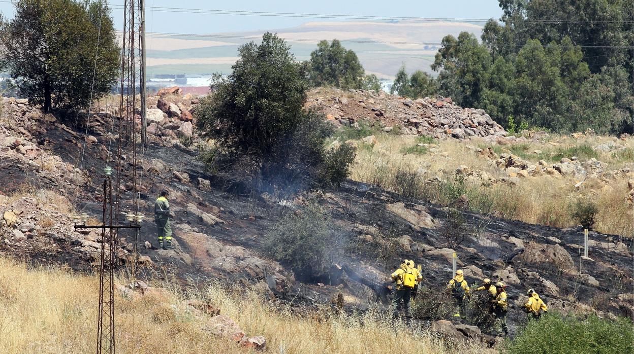 Pequeño incendio de pasto tras la fábrica de Asland ocurrido en 2013