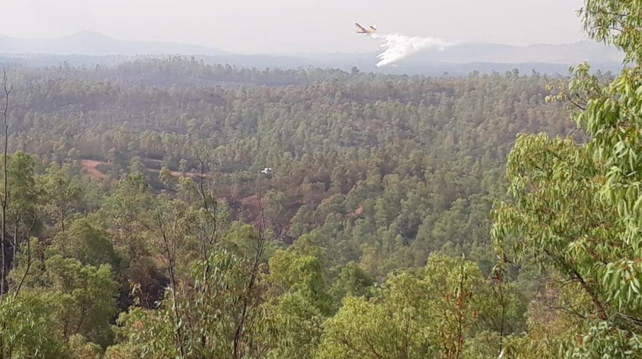 La mañana sigue desarrollándose con un intenso trabajo de todos los compañeros y medios