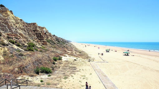 Playa con acantilados y pinares