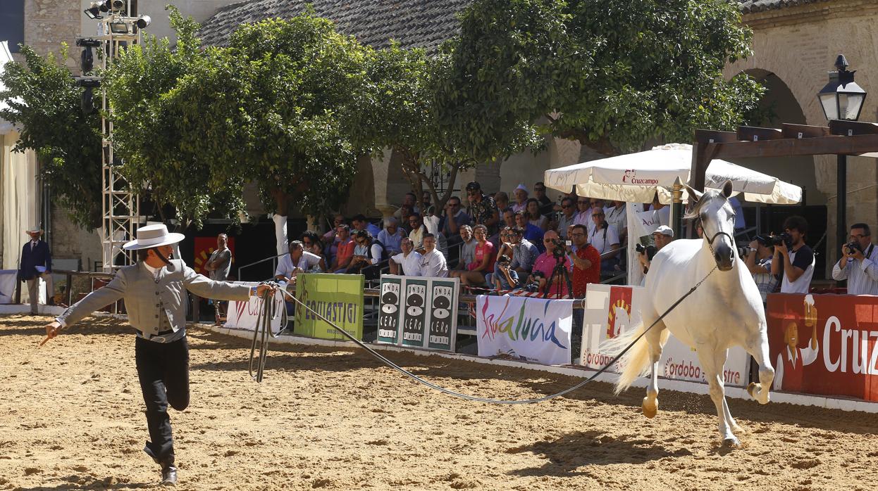 Cabalcor será la cita estrella de la agenda de ocio en Córdoba este fin de semana