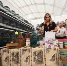 Todo lo que necesitas saber sobre la Feria Intercaza de Córdoba 2018