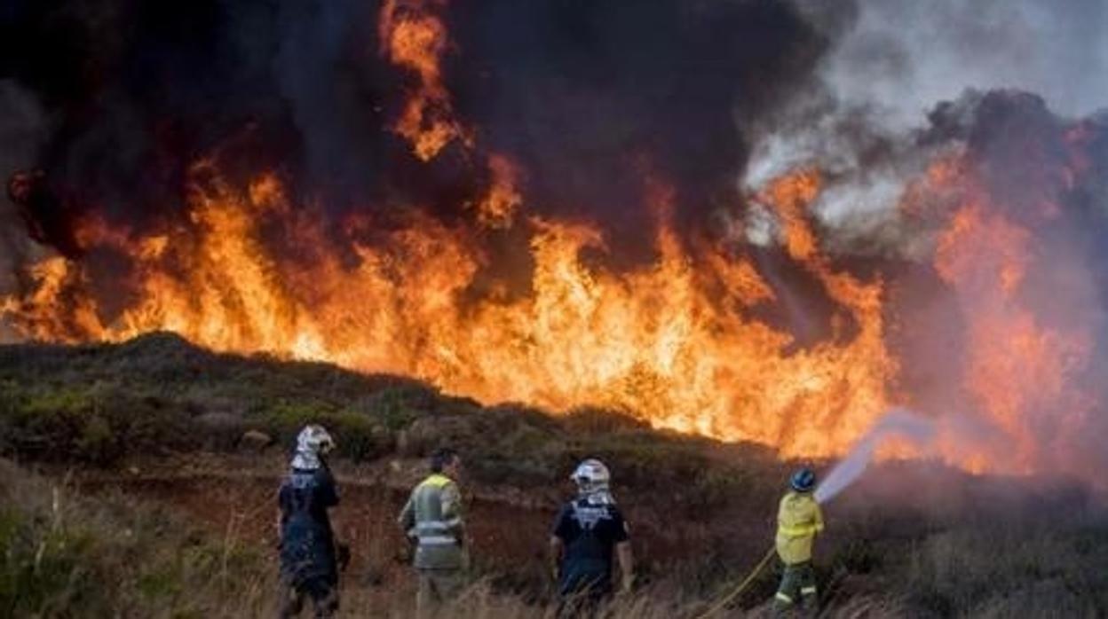 Imagen del incendio que calcinó una importante zona natural en La Línea en 2016.