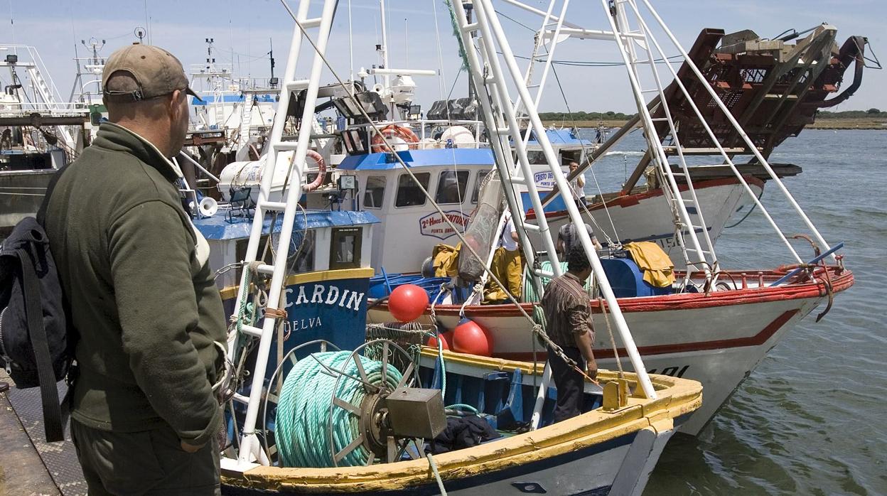 Embarcaciones pesqueras amarradas a puerto en Punta Umbría