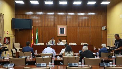 Las claves del adelanto de las elecciones en Andalucía 2018