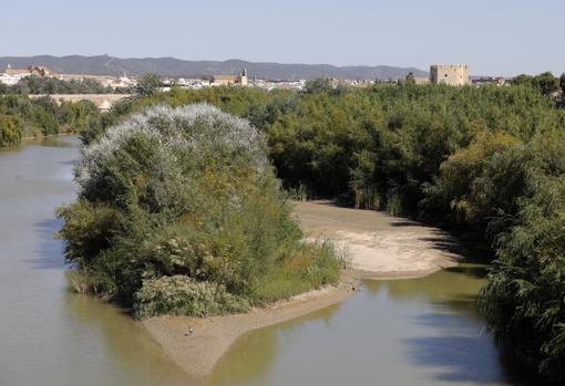 Una de las vistas de los Sotos de la Albolafia