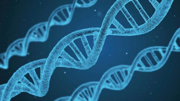Científicos de la UGR localizan los genes que determinan la personalidad