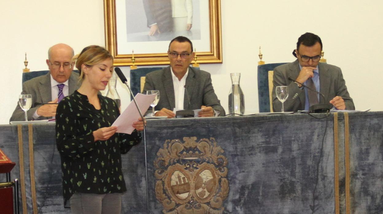 Un momento de la sesión plenaria de este miércoles en la Diputación Provincial de Huelva