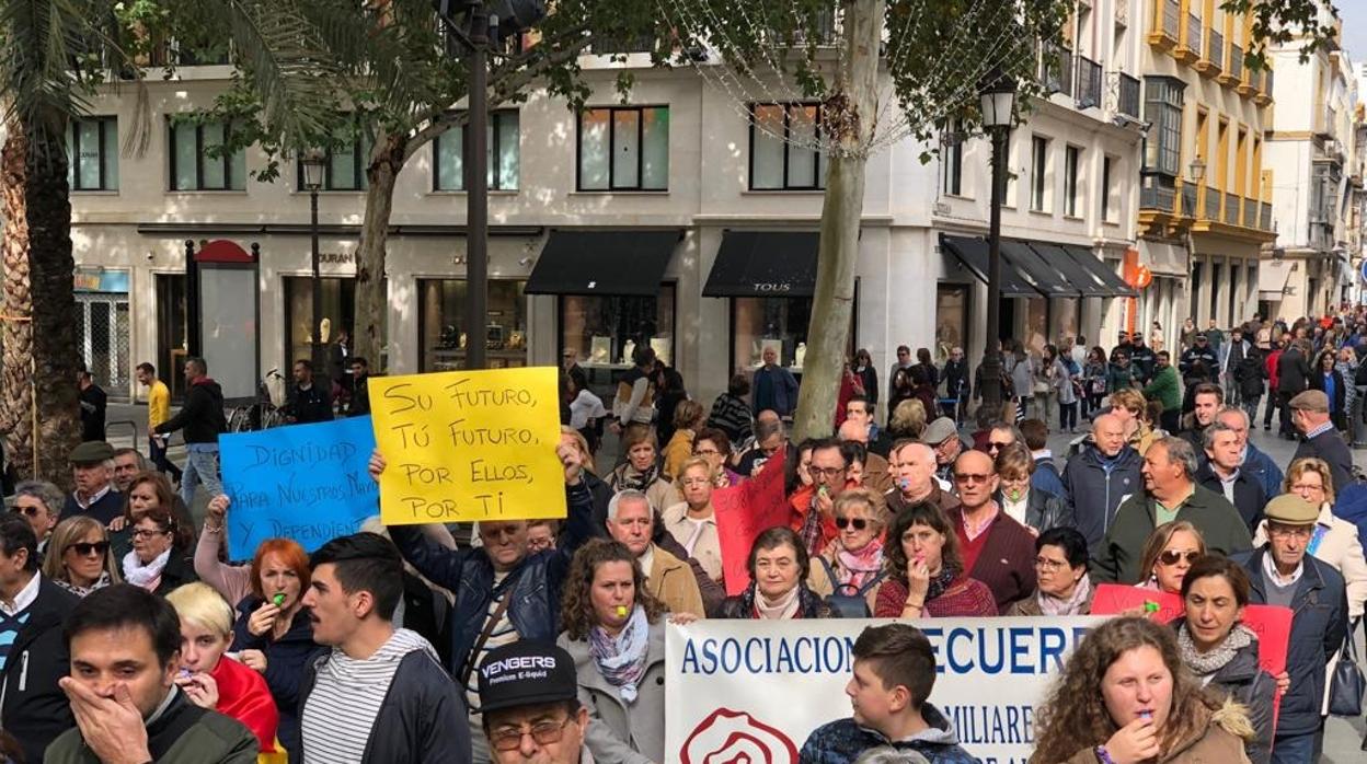 Vecinos de Los Pedroches ayer en la manifestación por las calles de Sevilla