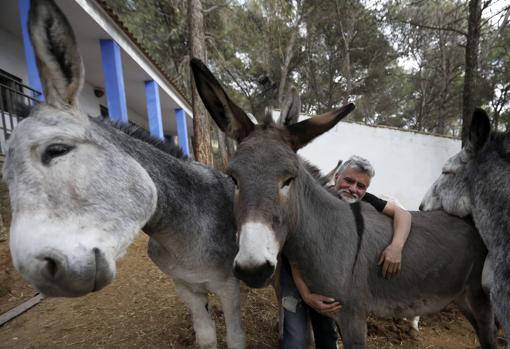 Pascual Rovira, junto a algunos de sus burros en Rute
