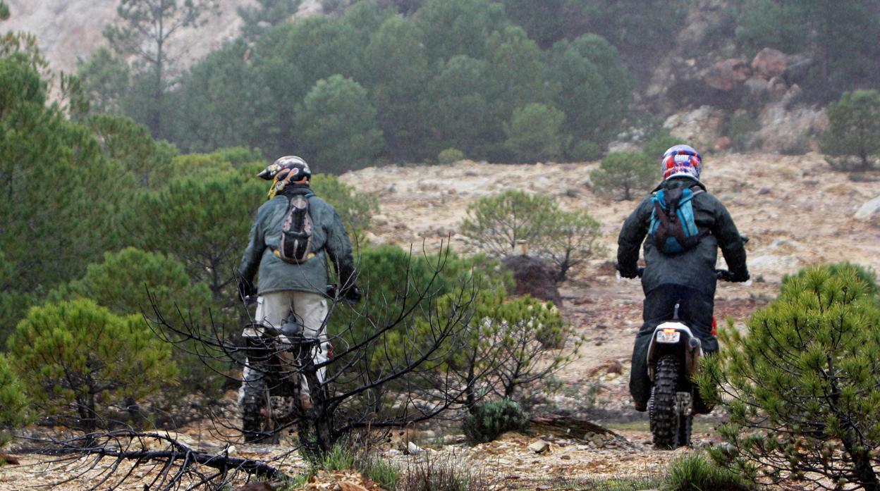 Dos motoristas del equipo de búsqueda de la joven en El Campillo