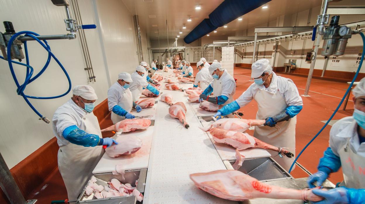 Operarios en el Centro de Tranformación Cárnica