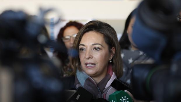 La alcaldesa, en una rueda de prensa reciente