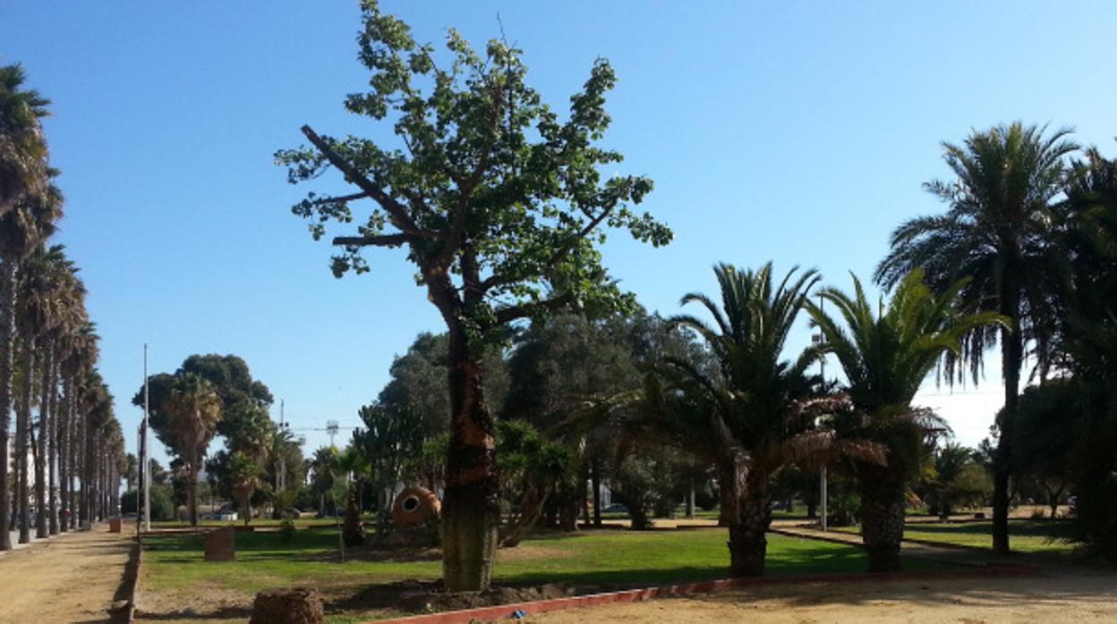Imagen parcial del parque Princesa Sofía, en La Línea de la Concepción