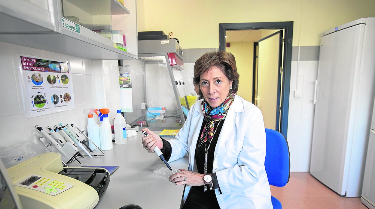 Investigadores de la Universidad de Córdoba: Carmen Tarradas y el reto de la seguridad alimentaria