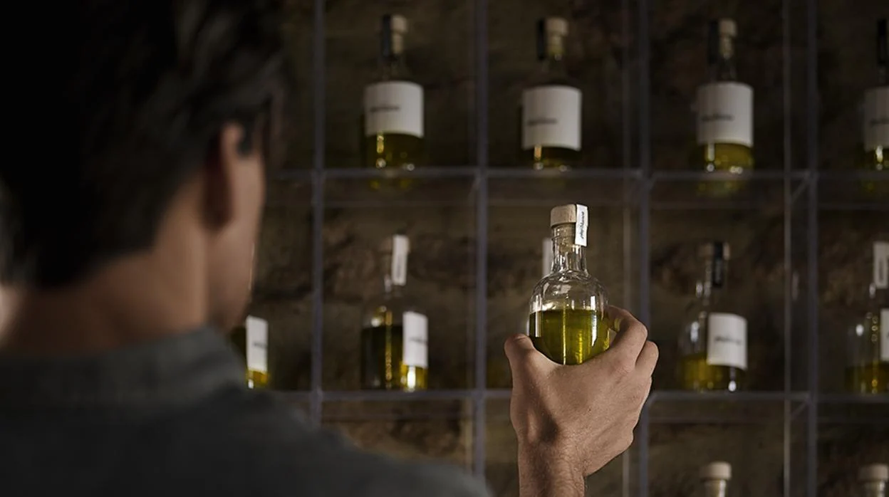 El aceite de oliva es una de las potencialidades turísticas de la provincia