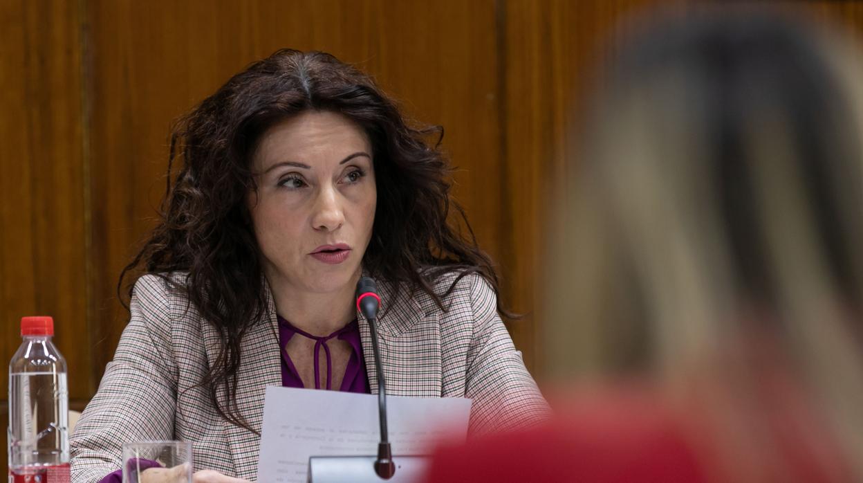 La consejera Rocío Ruiz
