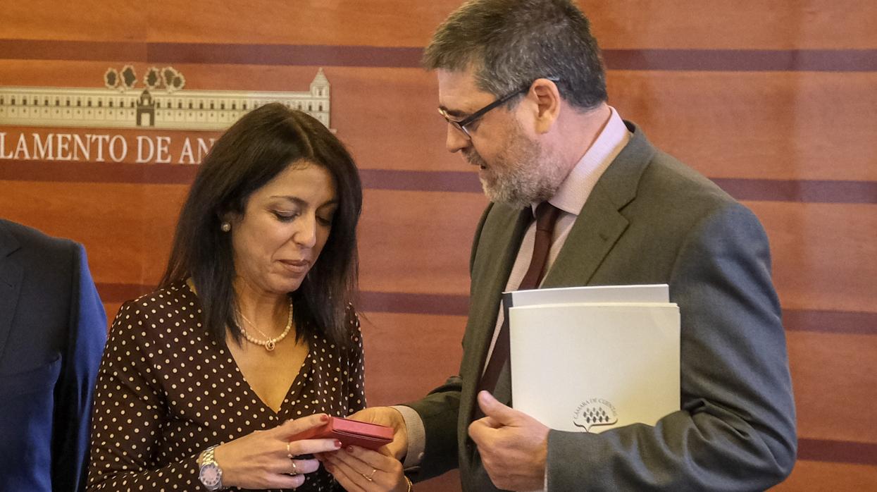 El presidente de la Cámara de Cuentas andaluza, Antonio López, entrega el martes el informe a la presidenta del Parlamento andaluz, Marta Bosquet