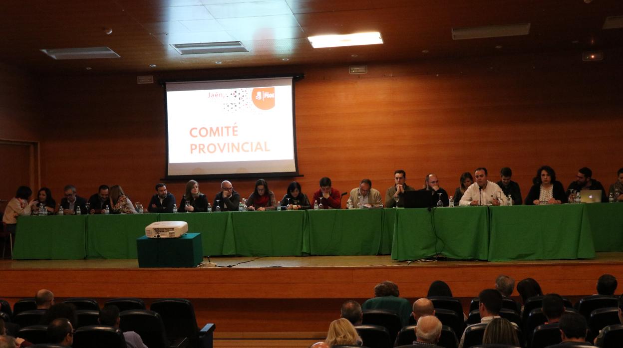 Comité electoral del PSOE de Jaén que ha elegido las candidaturas para la elecciones generales