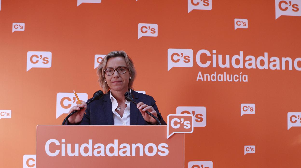 Isabel Albás, en una comparecencia