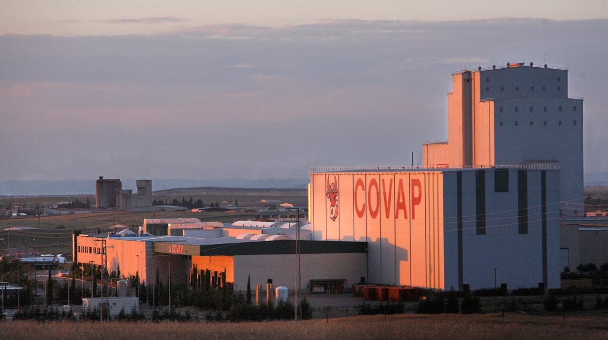 Planta láctea de Covap