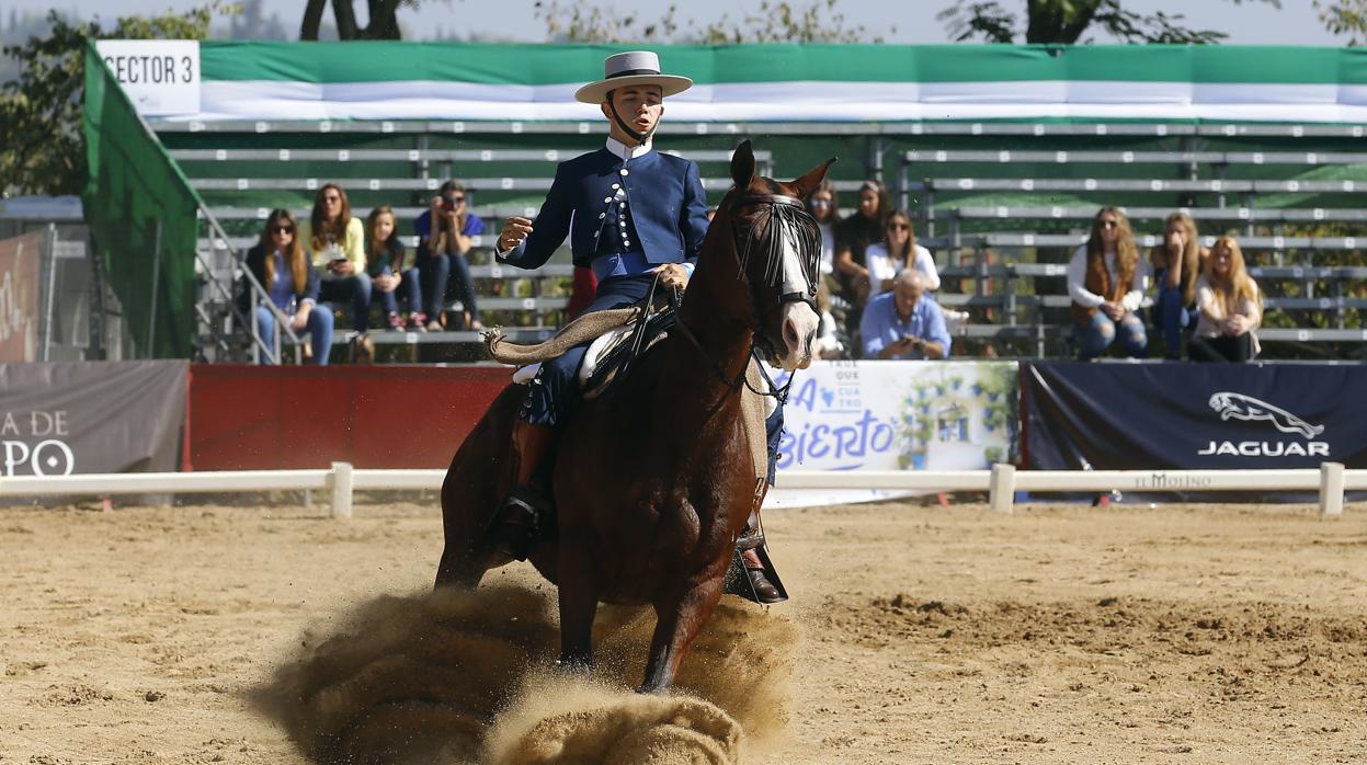 Campeonato de Doma Vaquera en la Hacienda de la Albaida