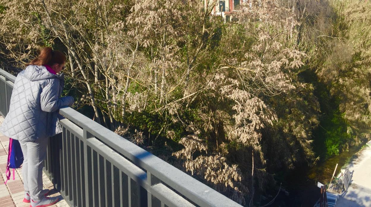 Estado actual del cauce del río Cabra