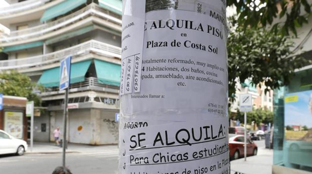 Anuncios de pisos en alquiler en Córdoba