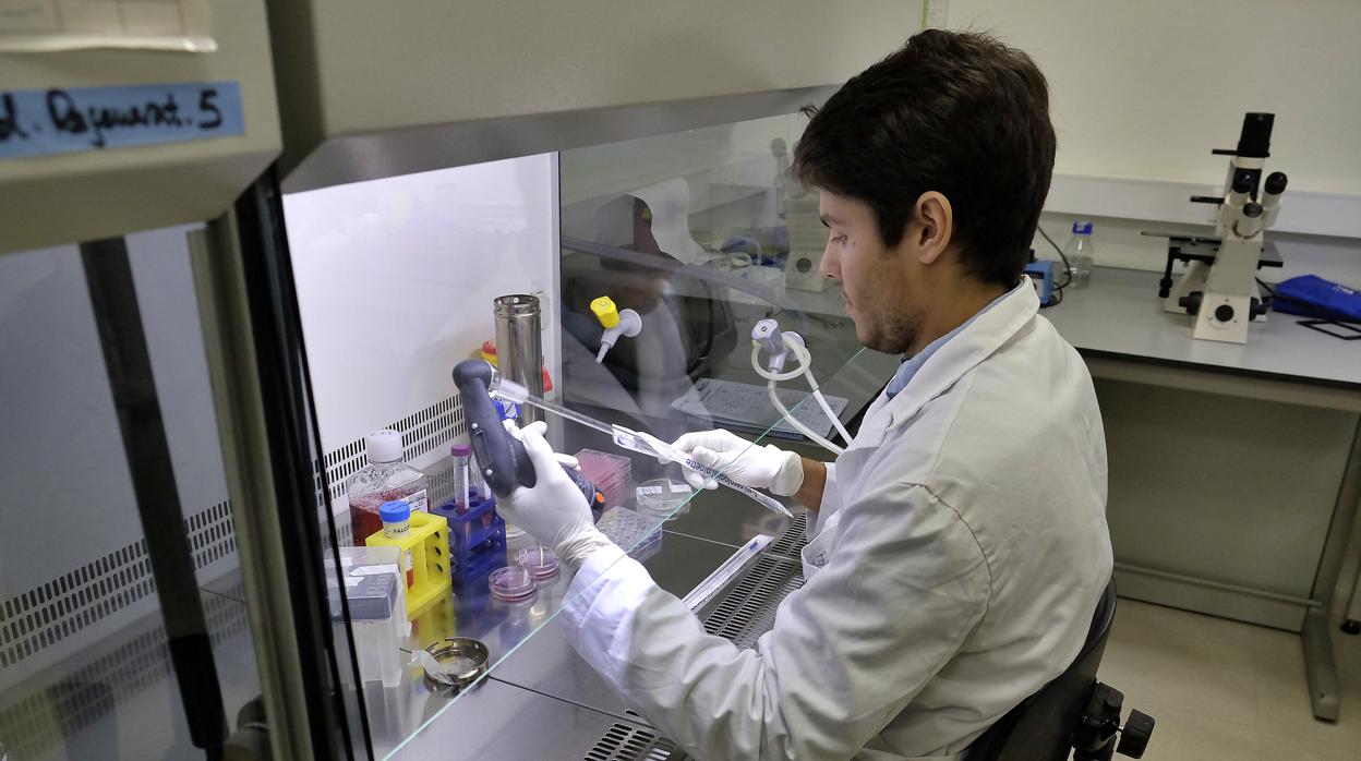 Un investigador en los laboratorios de Cabimer, donde trabaja Bernat Soria