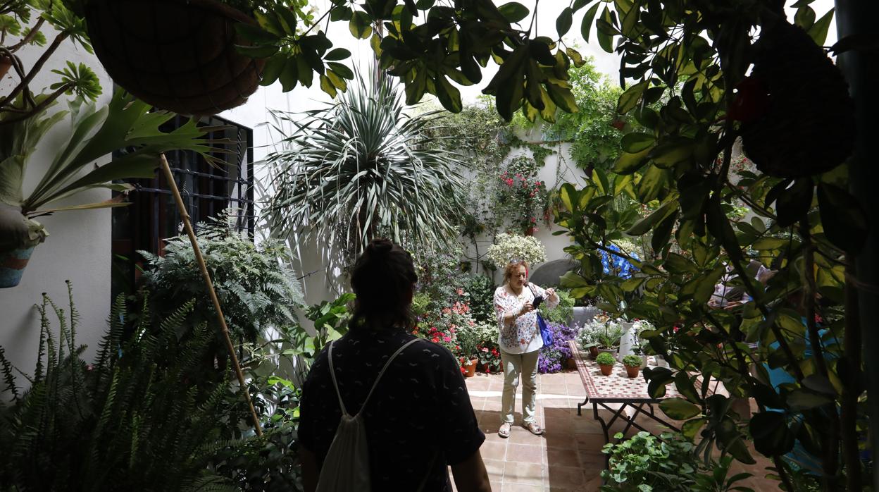 Patio de la calle Alvar Rodríguez, 8, en el barrio de San Lorenzo de Córdoba