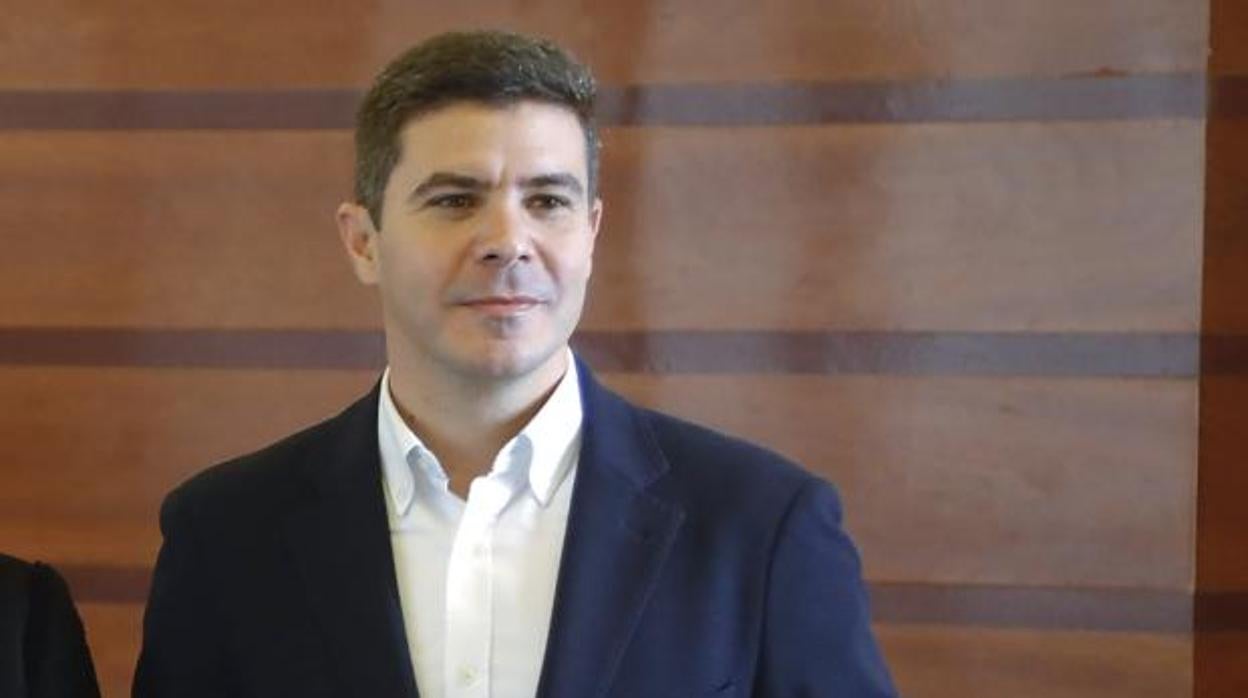 El portavoz de Ciudadanos, Sergio Romero