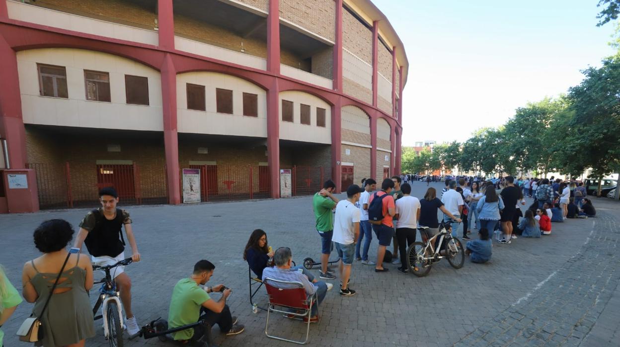 La cola rodea por completo la Plaza de Toros de Córdoba