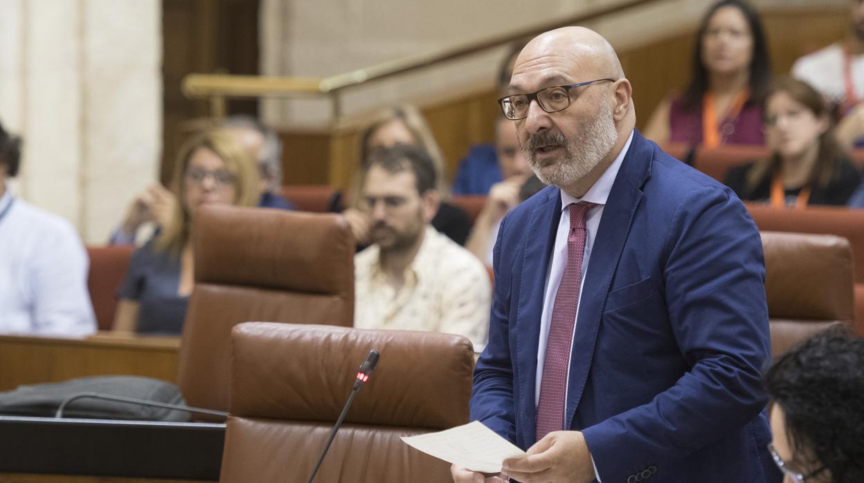 El portavoz de Vox, Alejandro Hernández, en la sesión plenaria del Parlamento