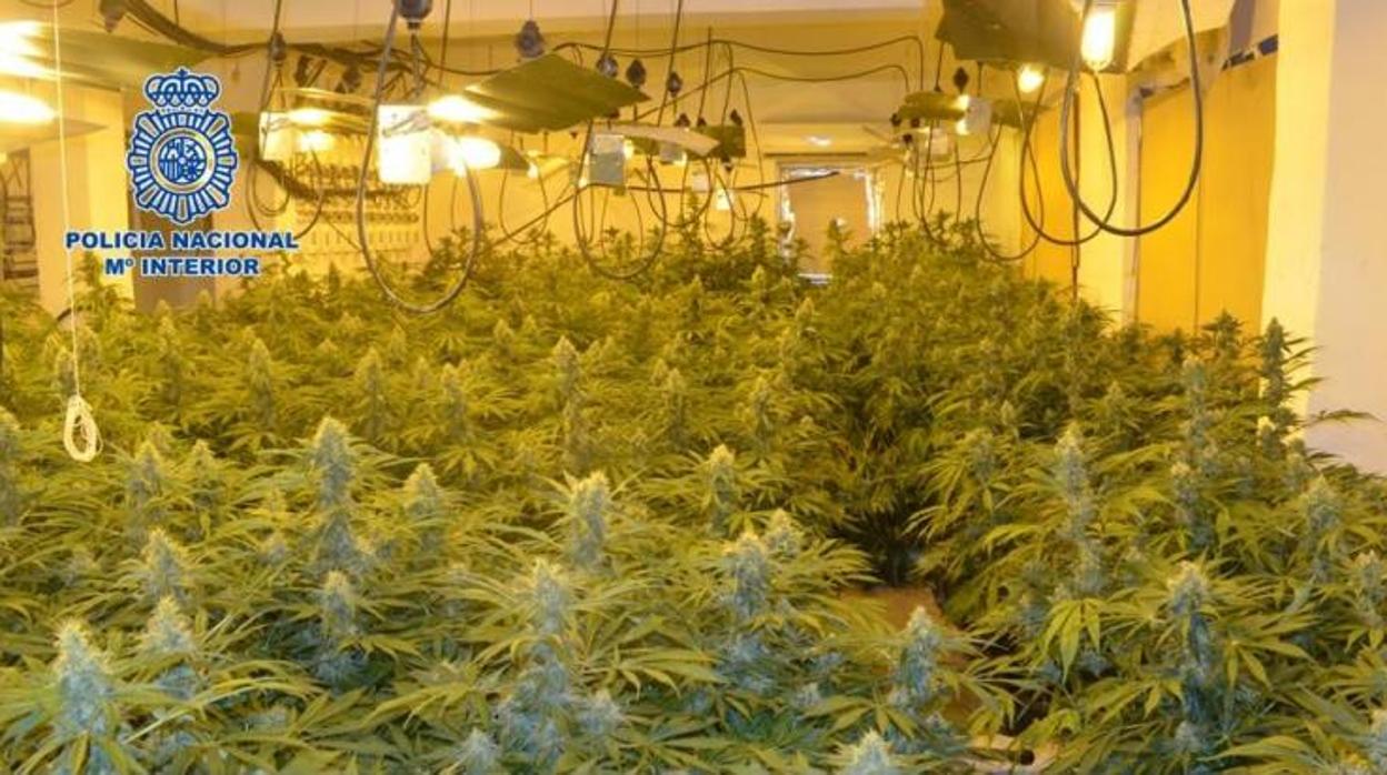 La Guardia Civil ha realizado una veintena de operaciones en Granada durante el mes de julio.