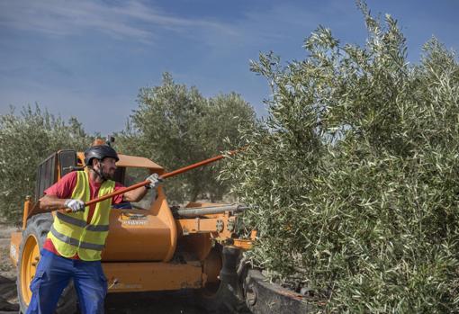 El apoyo a los jovenes es una de las prioridades
