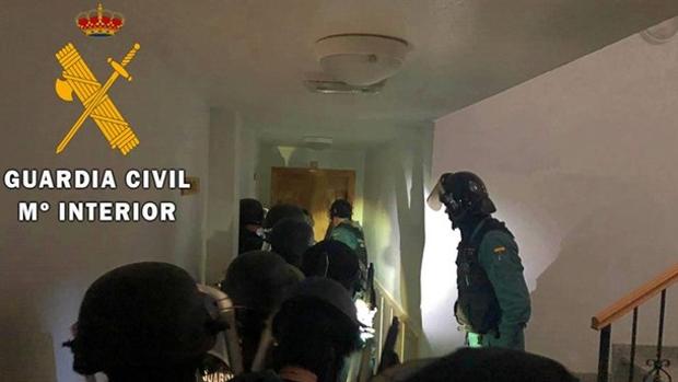 Detenidas tres personas por poseer más de mil plantas de marihuana en sus viviendas en Berja (Almería)