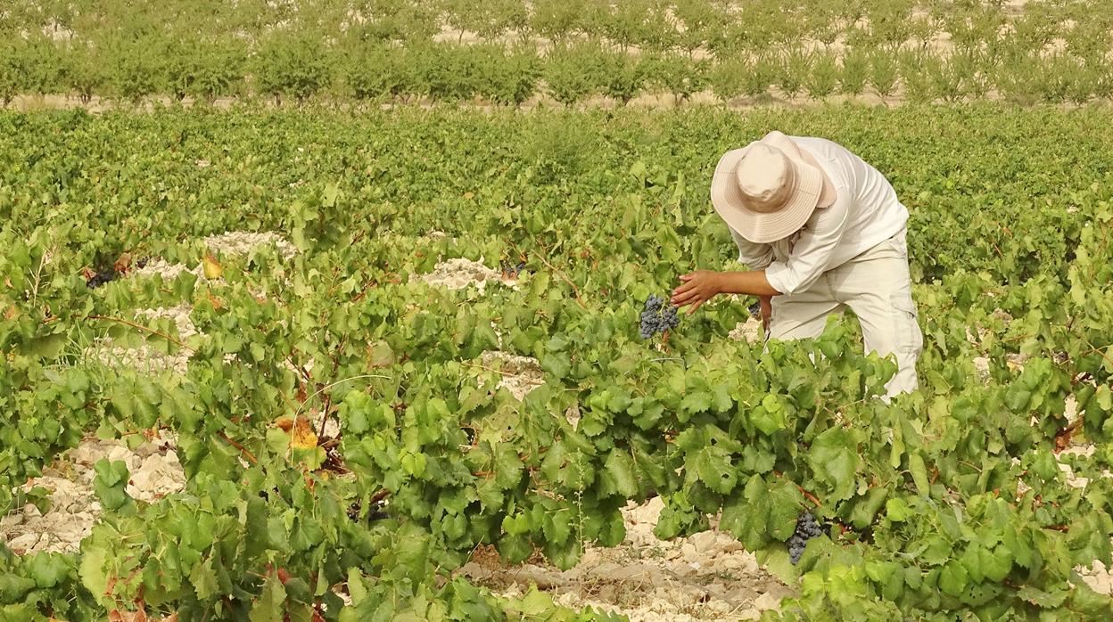 Los sindicatos advierten del fraude que existe cuando piden dinero por adelantado para trabajar