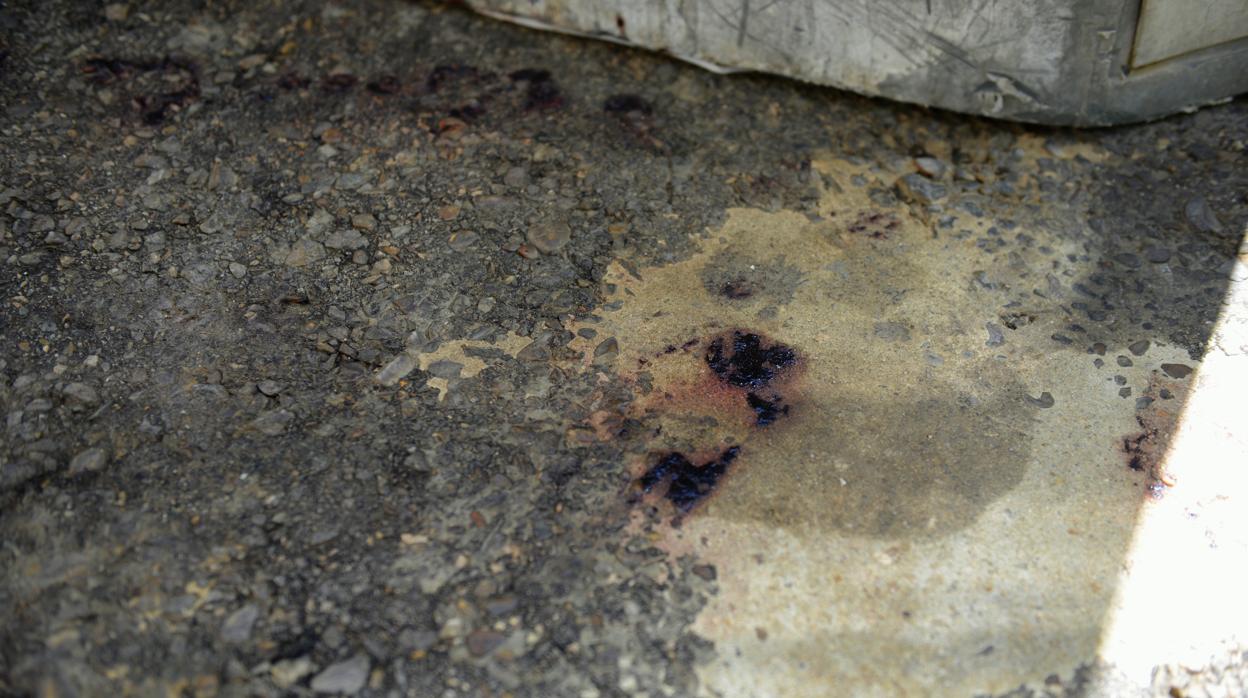 Restos de sangre en el suelo