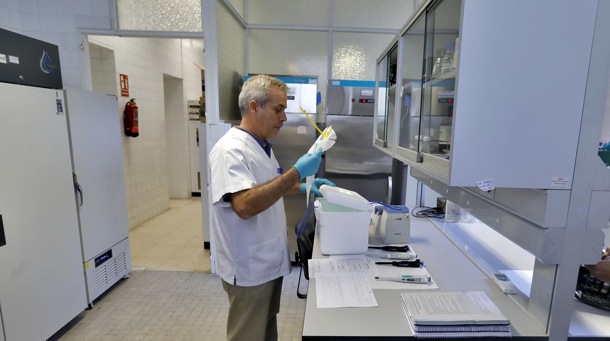 Laboratorio para el análisis de la listeriosis